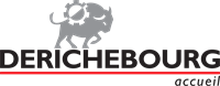 DERICHEBOURG Accueil (logo)